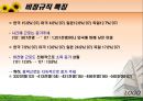 노동문제 비정규직 노동자  12페이지