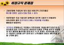 노동문제 비정규직 노동자  17페이지