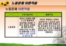 노동문제 비정규직 노동자  23페이지