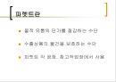 컨테이너 및 파렛트 21페이지