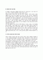 지구환경 악화와 지구 서미트 (리우 서미트, 요하네스버그 서미트, 자연에너지 서미트, 잘못된 경제 개선 방법, 인구증가, 환경 악화, 빈곤의 악순환) 4페이지