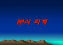 현대 상선의 분식 회계 “대북 송금과 남북 정상회담 그리고 현대그룹의 의혹” 20페이지