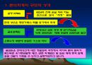 현대 상선의 분식 회계 “대북 송금과 남북 정상회담 그리고 현대그룹의 의혹” 28페이지