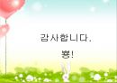 (아동수과학) 시계읽기, 시간의 흐름 이론요약정리 PPT, 파워포인트 10페이지