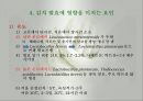 발효식품(침채류, 김치의발효, 김치발효미생물, 김치의산패, 김치의저장성, 김치의기능성) 발표용 PPT, 파워포인트 13페이지