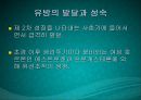 수유기영양(유방의발달과성숙, 수유생리수유기, 수유부영양, 수유부식생활관리, 모유수유, 수유자세, 유방관련문제) PPT, 파워포인트 19페이지