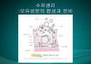 수유기영양(유방의발달과성숙, 수유생리수유기, 수유부영양, 수유부식생활관리, 모유수유, 수유자세, 유방관련문제) PPT, 파워포인트 28페이지