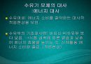 수유기영양(유방의발달과성숙, 수유생리수유기, 수유부영양, 수유부식생활관리, 모유수유, 수유자세, 유방관련문제) PPT, 파워포인트 39페이지