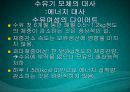 수유기영양(유방의발달과성숙, 수유생리수유기, 수유부영양, 수유부식생활관리, 모유수유, 수유자세, 유방관련문제) PPT, 파워포인트 43페이지