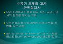 수유기영양(유방의발달과성숙, 수유생리수유기, 수유부영양, 수유부식생활관리, 모유수유, 수유자세, 유방관련문제) PPT, 파워포인트 47페이지