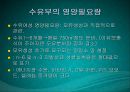 수유기영양(유방의발달과성숙, 수유생리수유기, 수유부영양, 수유부식생활관리, 모유수유, 수유자세, 유방관련문제) PPT, 파워포인트 51페이지