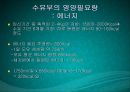 수유기영양(유방의발달과성숙, 수유생리수유기, 수유부영양, 수유부식생활관리, 모유수유, 수유자세, 유방관련문제) PPT, 파워포인트 52페이지