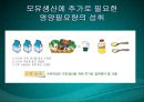 수유기영양(유방의발달과성숙, 수유생리수유기, 수유부영양, 수유부식생활관리, 모유수유, 수유자세, 유방관련문제) PPT, 파워포인트 63페이지