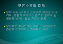 수유기영양(유방의발달과성숙, 수유생리수유기, 수유부영양, 수유부식생활관리, 모유수유, 수유자세, 유방관련문제) PPT, 파워포인트 90페이지