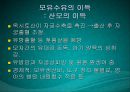 수유기영양(유방의발달과성숙, 수유생리수유기, 수유부영양, 수유부식생활관리, 모유수유, 수유자세, 유방관련문제) PPT, 파워포인트 93페이지