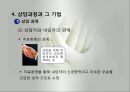 정신분석상담이론(프로이드, 프로이트, 정신분석이론, 주요개념, 심리적문제형성과정, 상담과정과기법, 상담사례, 현대정신분석) 파워포인트 15페이지