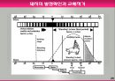 모돈의 사양관리와 실제(가축사양학, 돼지기르기, 양돈, 돼지의품종, 돼지의모든것, 양돈생산성)PPT, 파워포인트 29페이지