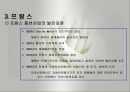 세계 각국의 패션산업(이탈리아, 미국, 프랑스, 영국, 독일, 일본, 패션산업, 디자이너의 해외진출) PPT, 파워포인트 8페이지