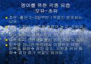 영아기발달(영아의신체발달, 영양필요량, 이유보충식, 미숙아) 40페이지