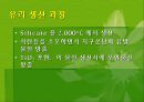 자동차와 환경(자동차생산과정, 차동차운행과정, 폐차과정, 자동차와환경오염) PPT, 파워포인트 14페이지