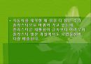 자동차와 환경(자동차생산과정, 차동차운행과정, 폐차과정, 자동차와환경오염) PPT, 파워포인트 17페이지