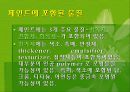 자동차와 환경(자동차생산과정, 차동차운행과정, 폐차과정, 자동차와환경오염) PPT, 파워포인트 19페이지