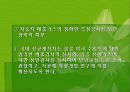 자동차와 환경(자동차생산과정, 차동차운행과정, 폐차과정, 자동차와환경오염) PPT, 파워포인트 48페이지