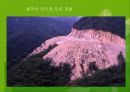 자동차와 환경(자동차생산과정, 차동차운행과정, 폐차과정, 자동차와환경오염) PPT, 파워포인트 76페이지