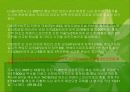 자동차와 환경(자동차생산과정, 차동차운행과정, 폐차과정, 자동차와환경오염) PPT, 파워포인트 84페이지