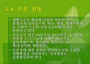 자동차와 환경(자동차생산과정, 차동차운행과정, 폐차과정, 자동차와환경오염) PPT, 파워포인트 89페이지