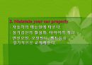 자동차와 환경(자동차생산과정, 차동차운행과정, 폐차과정, 자동차와환경오염) PPT, 파워포인트 92페이지