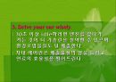 자동차와 환경(자동차생산과정, 차동차운행과정, 폐차과정, 자동차와환경오염) PPT, 파워포인트 93페이지