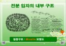 전분(포도당, 전분입자, 전분가열, 호화전분, 전분의겔화, 전분의노화, 스테일링, 전분의호정화) PPT, 파워포인트 14페이지