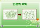 전분(포도당, 전분입자, 전분가열, 호화전분, 전분의겔화, 전분의노화, 스테일링, 전분의호정화) PPT, 파워포인트 18페이지