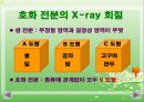 전분(포도당, 전분입자, 전분가열, 호화전분, 전분의겔화, 전분의노화, 스테일링, 전분의호정화) PPT, 파워포인트 20페이지