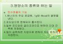 건강의 의미, 영양소의 종류와 하는 일(교직실습, 영양교사교생실습, 중학생대상) PPT, 파워포인트 8페이지