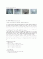 아동학대  8페이지