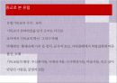 종교로 본 유럽(크리스트교로본유럽, 기독교로본유럽, 로마카톨릭, 종교개혁, 신교의발전, 러시아정교) 파워포인트 7페이지