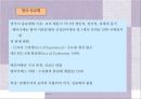 종교로 본 유럽(크리스트교로본유럽, 기독교로본유럽, 로마카톨릭, 종교개혁, 신교의발전, 러시아정교) 파워포인트 32페이지