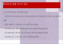 종교로 본 유럽(크리스트교로본유럽, 기독교로본유럽, 로마카톨릭, 종교개혁, 신교의발전, 러시아정교) 파워포인트 35페이지