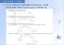 지질(식품학, 지방질의분류, 유지의구조및구성지방산, 유지의물리적성질,화학적성질,기능적성질, 유지의산패) 파워포인트, 프레젠테이션 12페이지