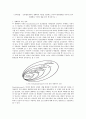 유아발달 - 브론펜브레너의 생태학적 이론을 정리하고 유아의 환경체계를 각각의 5가지 체계별로 구체적 예를 들어 제시하시오 1페이지