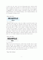 빈폴(bean pole)  마케팅(SWOT ,STP, 4P)전략분석과 빈폴 마케팅설문조사및 빈폴의 새로운 전략제안 (폴로와 비교분석) 9페이지