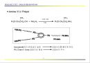 POLYOL의 성질과 응용 15페이지