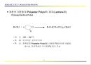 POLYOL의 성질과 응용 19페이지