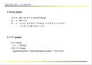 POLYOL의 성질과 응용 21페이지