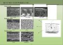 가죽에 대한 폴리우레탄 합성물의 적용 7페이지