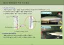 가죽에 대한 폴리우레탄 합성물의 적용 18페이지