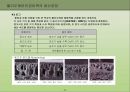 가죽에 대한 폴리우레탄 합성물의 적용 29페이지