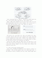 인간과교육1공통) 주입식 교육관과 성장식 교육관(자연주의 교육관, 진보주의 교육관, 실존주의 교육관)을 비교․설명, 그 교육적 시사점을 논하시오. 피아제(Piaget)의 인지발달 16페이지